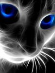 Click image for larger version

Name:	Blue_Cat_Eye.jpg
Views:	462
Size:	39.9 KB
ID:	113315