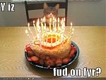 Click image for larger version

Name:	funny-pictures-cat-wonders-why-the-food-is-on-fire.jpg
Views:	383
Size:	32.9 KB
ID:	14082