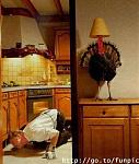 Click image for larger version

Name:	Turkey hiding.jpg
Views:	355
Size:	35.5 KB
ID:	39560