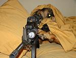 Click image for larger version

Name:	sniper-dog.jpg
Views:	208
Size:	73.6 KB
ID:	82874