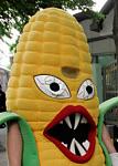 Click image for larger version

Name:	evil corn.jpg
Views:	325
Size:	47.2 KB
ID:	93828