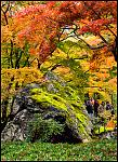 Click image for larger version

Name:	Arashiyama2.jpg
Views:	143
Size:	513.7 KB
ID:	96478
