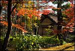 Click image for larger version

Name:	Arashiyama4.jpg
Views:	142
Size:	418.4 KB
ID:	96479