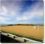 Click image for larger version

Name:	sydney-clovelly-bowling-club.jpg
Views:	226
Size:	140.1 KB
ID:	99959