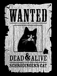 Click image for larger version

Name:	Wanted_Cat.png
Views:	631
Size:	364.1 KB
ID:	79891