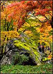 Click image for larger version

Name:	Arashiyama2.jpg
Views:	137
Size:	513.7 KB
ID:	96478