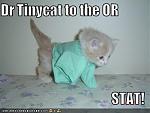 Click image for larger version

Name:	funny-pictures-kitten-doc.jpg
Views:	198
Size:	16.0 KB
ID:	21873