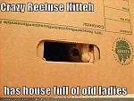 Click image for larger version

Name:	funny-pictures-crazy-recluse-cat.jpg
Views:	237
Size:	39.8 KB
ID:	13848