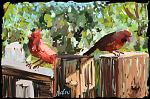 Click image for larger version

Name:	Cardinals-paint.jpg
Views:	511
Size:	399.1 KB
ID:	40948
