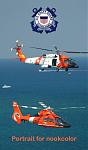 Click image for larger version

Name:	USCG-helos-portrait-NC.jpg
Views:	1211
Size:	341.6 KB
ID:	66204