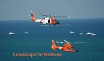 Click image for larger version

Name:	USCG-helos-landscape-netbook.jpg
Views:	299
Size:	335.7 KB
ID:	66202