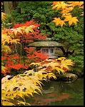 Click image for larger version

Name:	Red-Leaf-Lantern4.jpg
Views:	113
Size:	189.4 KB
ID:	93565