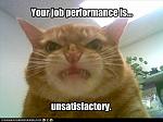 Click image for larger version

Name:	funny-pictures-cat-hates-your-job-performance.jpg
Views:	345
Size:	27.2 KB
ID:	93986