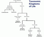 Click image for larger version

Name:	Taxonomy.gif
Views:	113
Size:	8.4 KB
ID:	99916