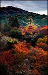 Click image for larger version

Name:	Momiji2.jpg
Views:	138
Size:	309.3 KB
ID:	96983