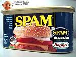 Click image for larger version

Name:	spam burger.jpg
Views:	251
Size:	12.7 KB
ID:	99246