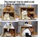 Click image for larger version

Name:	How to catch a cat.jpg
Views:	199
Size:	56.9 KB
ID:	103142