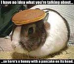 Click image for larger version

Name:	bunny-pancake.jpg
Views:	197
Size:	6.3 KB
ID:	24549