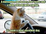 Click image for larger version

Name:	CatDriver.jpg
Views:	282
Size:	64.0 KB
ID:	93934