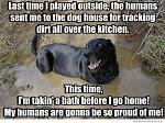 Click image for larger version

Name:	mud dog.jpg
Views:	235
Size:	54.3 KB
ID:	120584