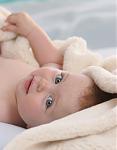 Click image for larger version

Name:	Baby.jpg
Views:	509
Size:	716.2 KB
ID:	26130