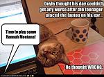 Click image for larger version

Name:	CatLaptop.jpg
Views:	283
Size:	64.0 KB
ID:	93935