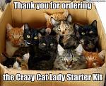 Click image for larger version

Name:	CatLady.jpg
Views:	123
Size:	39.9 KB
ID:	109752