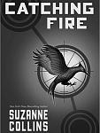 Click image for larger version

Name:	catching_fire.jpg
Views:	208
Size:	181.8 KB
ID:	99256