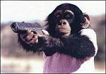 Click image for larger version

Name:	Monkey-gun.jpg
Views:	341
Size:	29.3 KB
ID:	50556