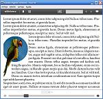 Click image for larger version

Name:	parrot1.jpg
Views:	207
Size:	97.2 KB
ID:	107253