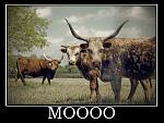Click image for larger version

Name:	moooo-political-speeches-horns-steer-manure-politics-1334689958.jpg
Views:	476
Size:	148.3 KB
ID:	95153