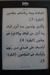 Click image for larger version

Name:	Arabic kobo.JPG
Views:	622
Size:	1,020.5 KB
ID:	105954