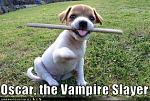Click image for larger version

Name:	vampire slayer.jpg
Views:	267
Size:	64.0 KB
ID:	72825