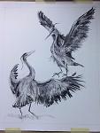 Click image for larger version

Name:	cranes.jpg
Views:	231
Size:	90.0 KB
ID:	103228