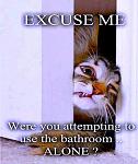 Click image for larger version

Name:	Excuse Me.jpg
Views:	167
Size:	51.6 KB
ID:	104030