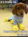 Click image for larger version

Name:	1016879_10151480629602181_575380584_n.jpg
Views:	135
Size:	53.4 KB
ID:	109865