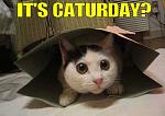 Click image for larger version

Name:	Saturday-Graphics-40.jpg
Views:	125
Size:	20.3 KB
ID:	110265