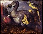 Click image for larger version

Name:	dodo.JPG
Views:	249
Size:	95.0 KB
ID:	110377