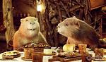 Click image for larger version

Name:	top-5-movie-beavers-20110610032337485.jpg
Views:	417
Size:	67.0 KB
ID:	111242