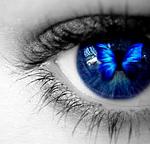 Click image for larger version

Name:	Butterfly-butterflies-14025205-347-333.jpg
Views:	567
Size:	13.6 KB
ID:	113291
