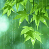 Name:  green_rain.gif
Views: 633
Size:  29.4 KB