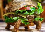 Click image for larger version

Name:	IFWT_44.jpg
Views:	90
Size:	80.9 KB
ID:	113420