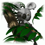Click image for larger version

Name:	koala_animation.gif
Views:	437
Size:	106.3 KB
ID:	113482