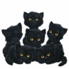 Name:  black_kitties.gif
Views: 264
Size:  8.1 KB