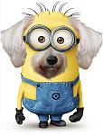 Name:  5WW_minion.jpg
Views: 177
Size:  5.3 KB