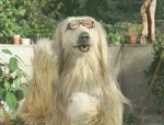 Click image for larger version

Name:	Clapping hond.gif
Views:	166
Size:	468.7 KB
ID:	124135