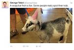 Click image for larger version

Name:	ImageUploadedByTapatalk1420397470.931664.jpg
Views:	226
Size:	134.5 KB
ID:	133296