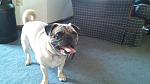 Click image for larger version

Name:	uploadfromtaptalk1431317990126.jpg
Views:	387
Size:	1.30 MB
ID:	138179
