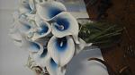 Name:  1446162911549-349281523.jpg
Views: 707
Size:  3.4 KB