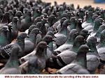 Click image for larger version

Name:	OB_statue.jpg
Views:	457
Size:	36.7 KB
ID:	143464